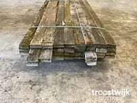 Basralocus zaagresten - afbeelding 4 van  5