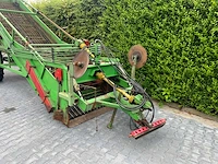 Basrijs bloembollenrooier - afbeelding 13 van  19