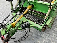 Basrijs bloembollenrooier - afbeelding 15 van  19