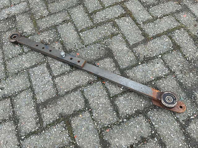 Basrijs schudlichter - afbeelding 7 van  7