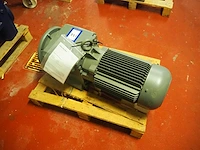 Bauer - afbeelding 4 van  4