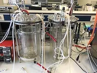 B.braun biotech 10 liter biostat b-dcu twin bioreactor opstelling - afbeelding 8 van  26