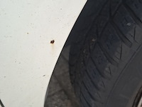 Bedrijfsauto, citroën, nemo 1.4hdi, 2008 - afbeelding 35 van  46