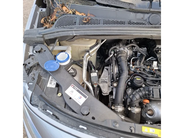 Bedrijfswagen, citroën, berlingo, 2021 - afbeelding 40 van  44