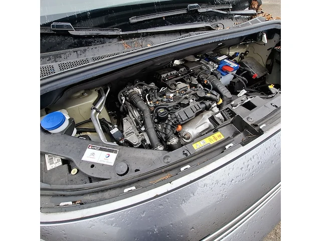 Bedrijfswagen, citroën, berlingo - afbeelding 37 van  41