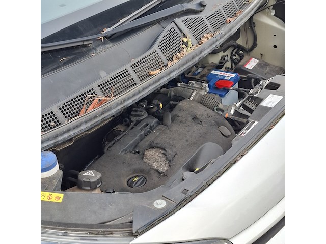 Bedrijfswagen, citroën, jumpy - afbeelding 38 van  45