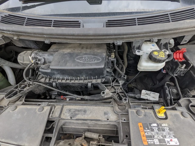 Bedrijfswagen ford, 310 2.0 tdci l2h1 sport, n.v.t., bouwjaar 2019 - afbeelding 41 van  61