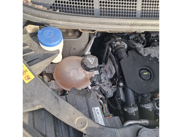 Bedrijfswagen, peugeot, expert, 2020 - afbeelding 36 van  94