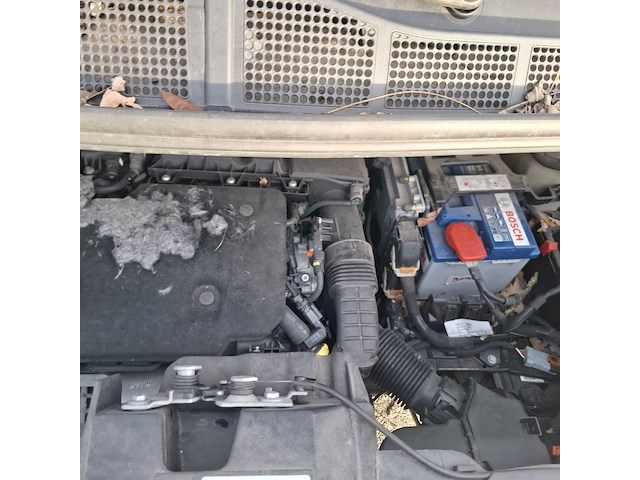 Bedrijfswagen, peugeot, expert, 2020 - afbeelding 90 van  94