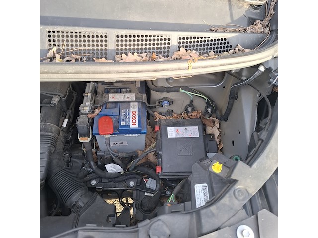 Bedrijfswagen, peugeot, expert, 2020 - afbeelding 91 van  94