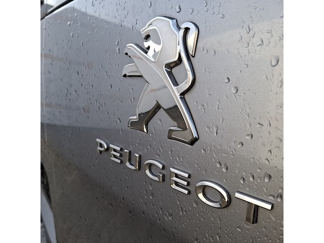Bedrijfswagen, peugeot, expert traveller, 2019 - afbeelding 39 van  44