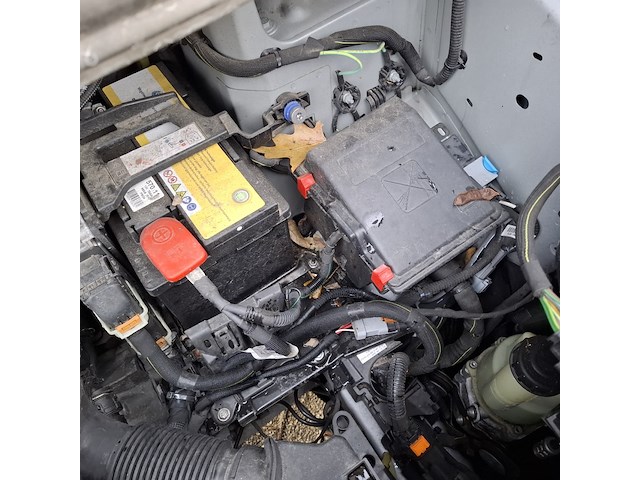 Bedrijfswagen, peugeot, expert - afbeelding 11 van  52