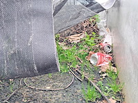 Bedrijfswagen, volkswagen, crafter - 46 2.0 tdi, 2014 - afbeelding 38 van  46