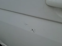 Bedrijfswagen volkswagen, transporter, bouwjaar 2005 - afbeelding 33 van  57