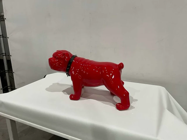 Beeld hond - afbeelding 1 van  8