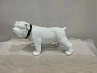 Beeld hond - afbeelding 3 van  8