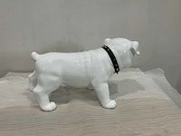 Beeld hond - afbeelding 4 van  8