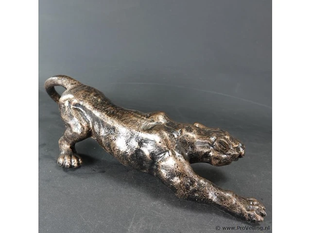 Beeld jaguar - afbeelding 4 van  5