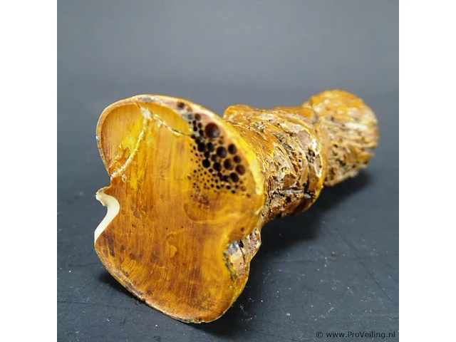Beeld muzikant - afbeelding 5 van  5