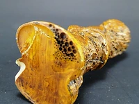 Beeld muzikant - afbeelding 5 van  5