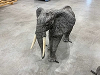 Beeld olifant (2x) - afbeelding 9 van  10