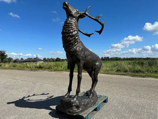 Beeld - afbeelding 5 van  6
