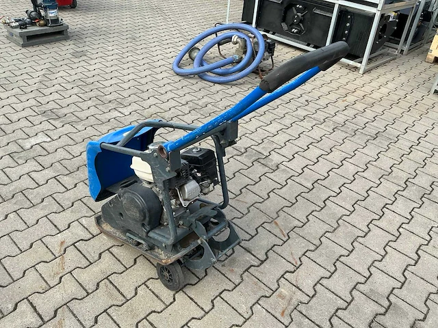 Belle trilplaat - afbeelding 7 van  9