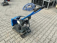 Belle trilplaat - afbeelding 7 van  9