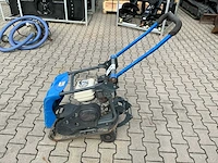 Belle trilplaat - afbeelding 8 van  9