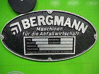 Bergmann - afbeelding 4 van  12