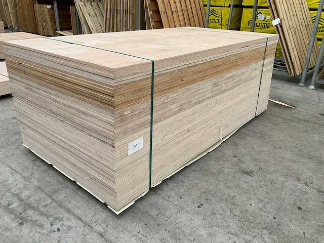 Berken multiplex 50x - afbeelding 1 van  6
