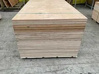 Berken multiplex 50x - afbeelding 2 van  6