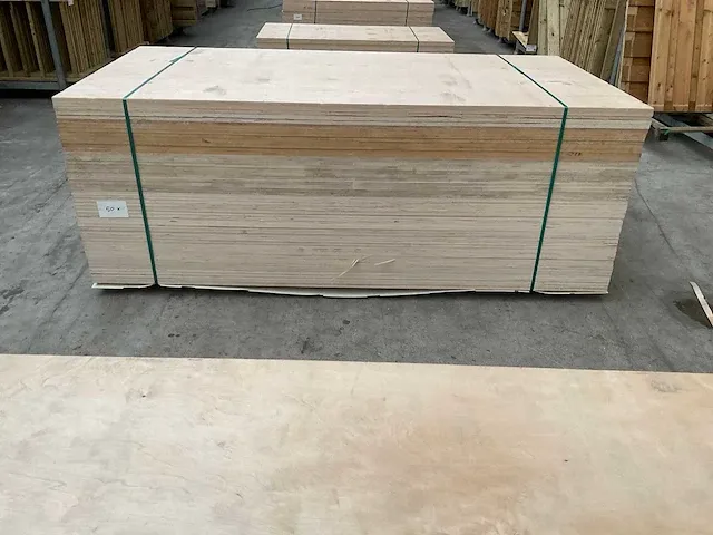 Berken multiplex 50x - afbeelding 6 van  6