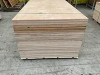Berken multiplex - afbeelding 2 van  6