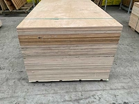 Berken wbp - multiplex (50x) - afbeelding 3 van  6
