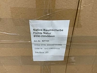 Berkenstam ø 200 mm 25-30mm (360x) - afbeelding 4 van  5