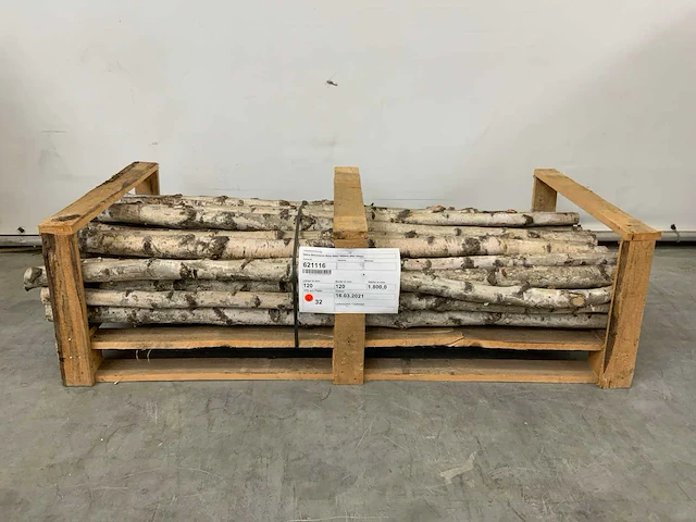 Berkenstam ø 50-120 mm 1800 mm (32x) - afbeelding 2 van  6