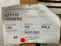 Berkenstam ø 50-120 mm 800 mm (109x) - afbeelding 8 van  8