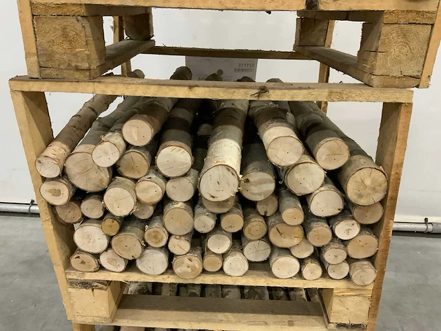 Berkenstam ø 50-120 mm 800 mm (138x) - afbeelding 5 van  8