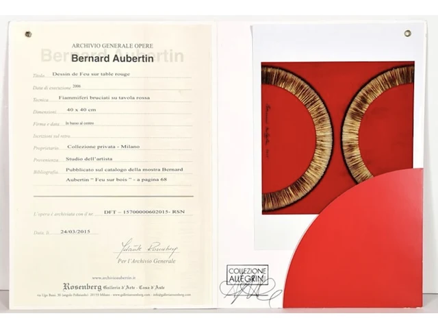 Bernard aubertin : dessin de feu sur aluminium - afbeelding 3 van  20