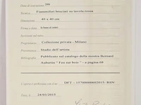 Bernard aubertin : dessin de feu sur aluminium - afbeelding 4 van  20