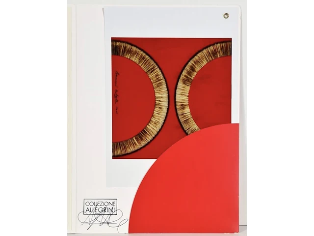 Bernard aubertin : dessin de feu sur aluminium - afbeelding 5 van  20