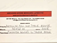 Bernard aubertin : dessin de feu sur aluminium - afbeelding 6 van  20