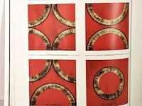 Bernard aubertin : dessin de feu sur aluminium - afbeelding 10 van  20