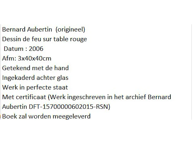 Bernard aubertin : dessin de feu sur aluminium - afbeelding 13 van  20