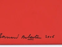 Bernard aubertin : dessin de feu sur aluminium - afbeelding 18 van  20