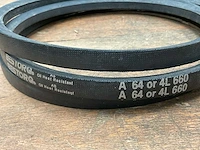 Bestorq belt (5x) - afbeelding 3 van  4