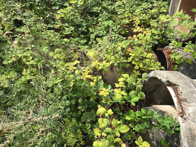 Betonnen buizen (30x) - afbeelding 9 van  10