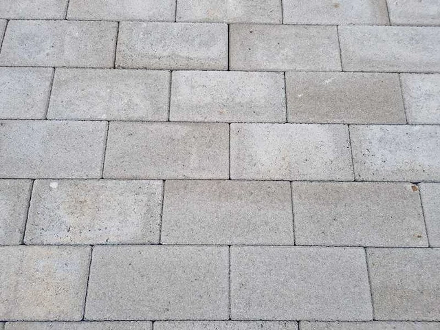 Betonstenen voor de tuin (ca 10.45m²) - afbeelding 3 van  4
