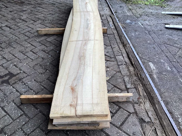 Beuk - kd ovengedroogd - schaaldeel (6x) - afbeelding 4 van  9